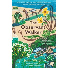 The Observant Walker