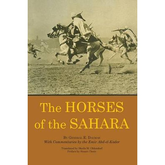 Horses of the Sahara image 0