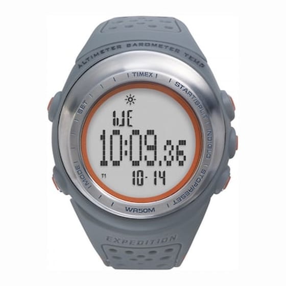 Timex Expedition T41531 image 0