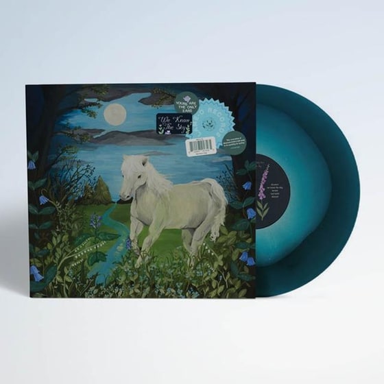 We Know The Sky (Limited Sky Vinyl) image 0