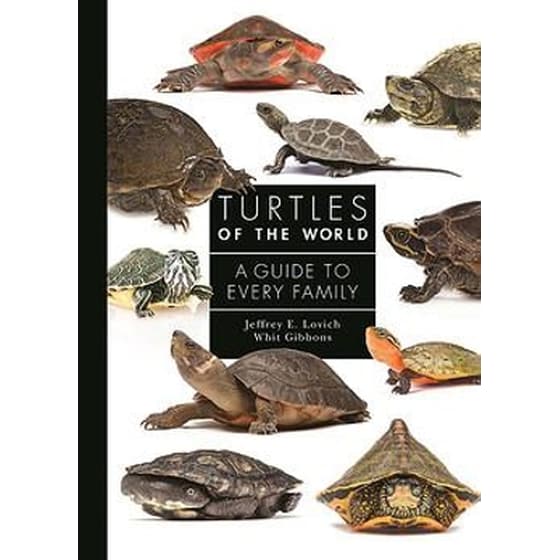 Turtles of the World image 0