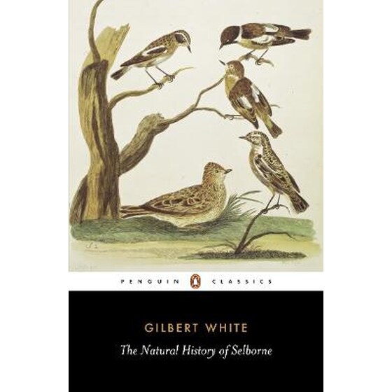 The Natural History of Selborne image 0