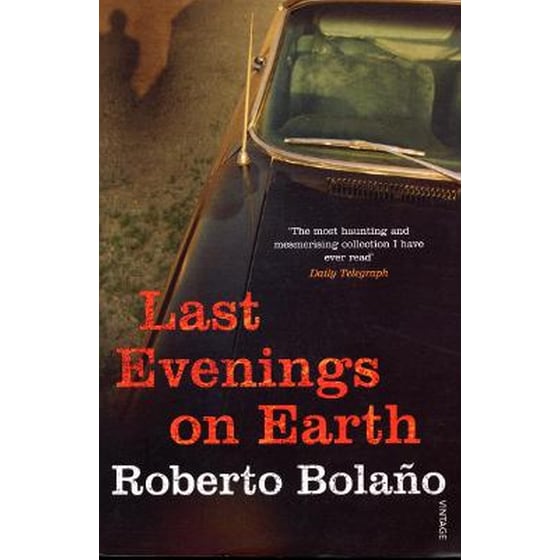 Last Evenings On Earth image 0