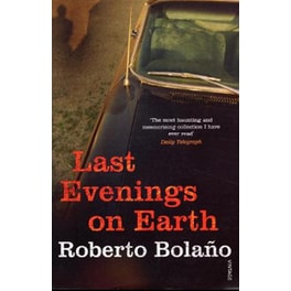 Last Evenings On Earth
