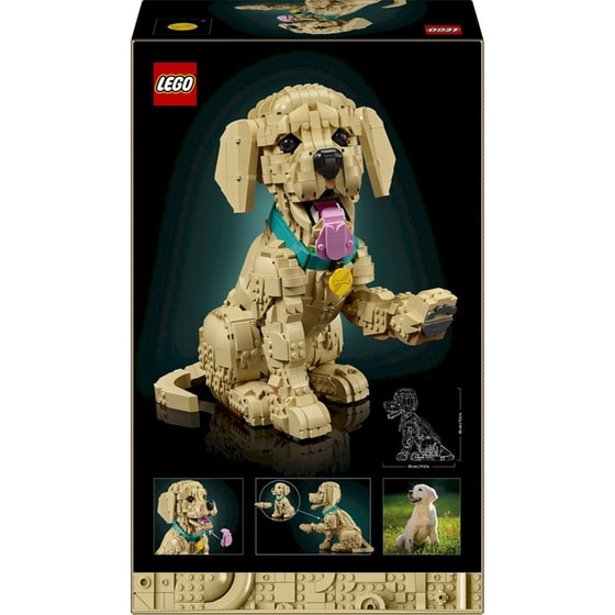 LEGO® Icons Golden Retriever Puppy (11384) image 4