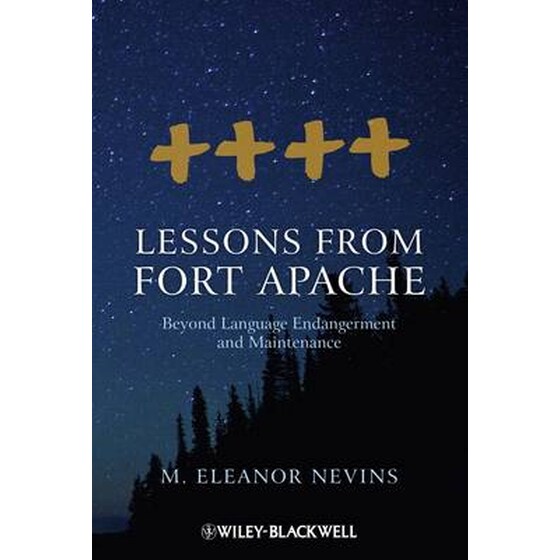 Lessons from Fort Apache image 0