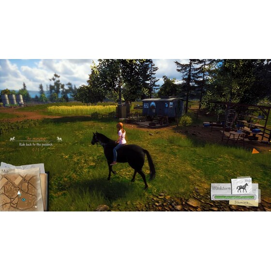 Windstorm: Start of a Great Friendship (Code in a Box) - Nintendo Switch image 3