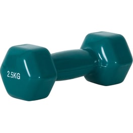 Βαράκι Εξάγωνο 2.5kg Amila 90504 Βινυλίου από Χυτοσίδηρο - Πράσινο