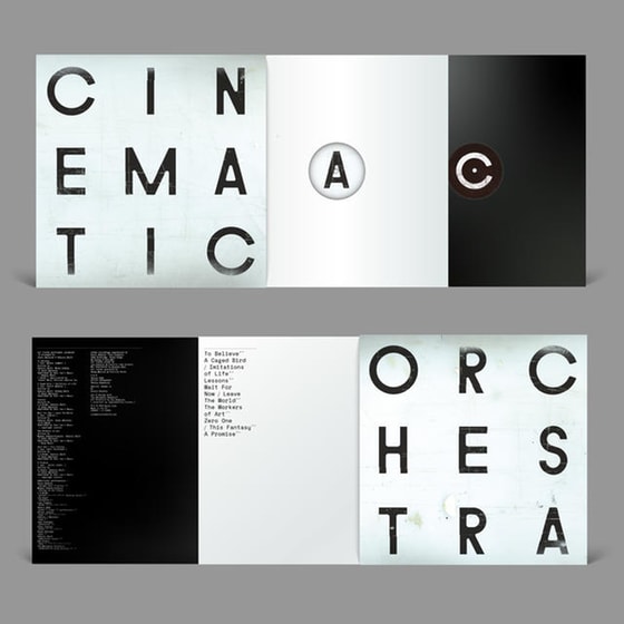 To Believe (Heavyweight 2lp+Mp3) image 2