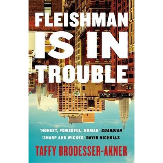 Fleishman Is in Trouble image 0