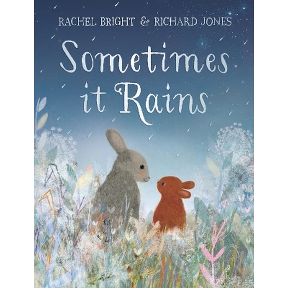 Sometimes It Rains image 0