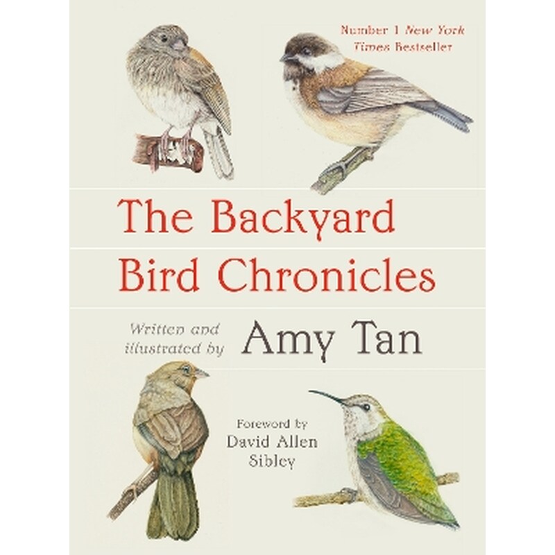 The Backyard Bird Chronicles