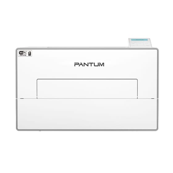 Pantum Laser BP4200DW Ασπρόμαυρος Εκτυπωτής Laser A4 Mono με WiFi, Ethernet image 0