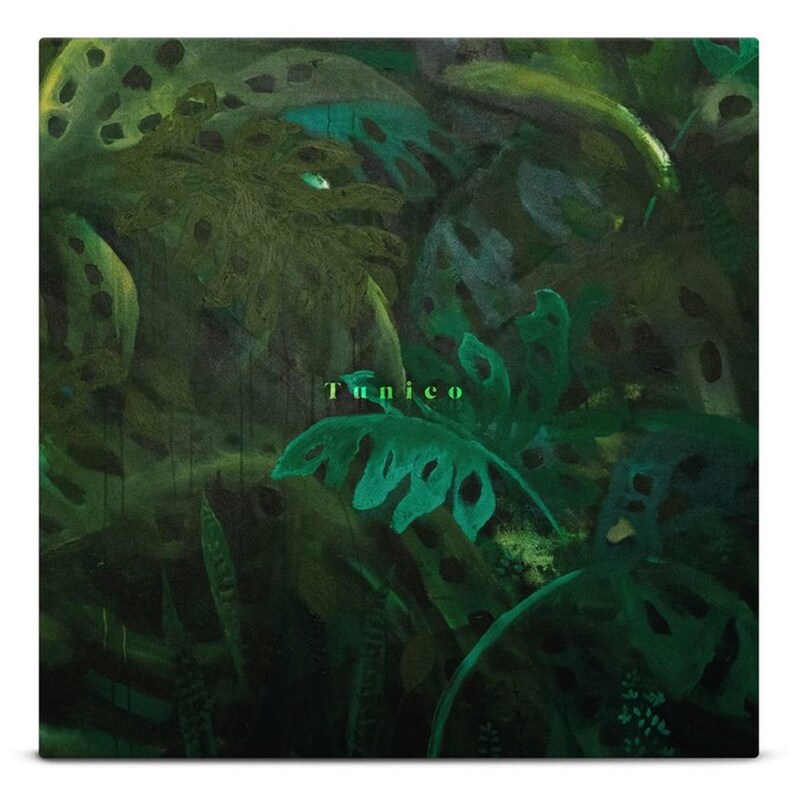 Tunico (Lp)