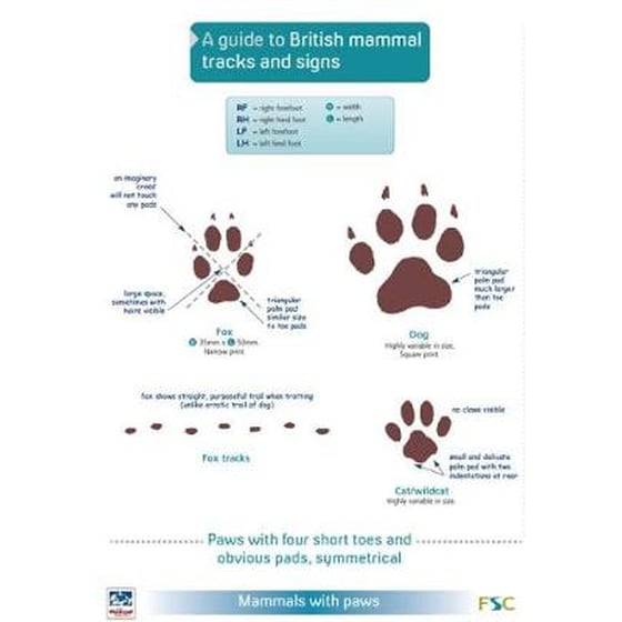 A Guide to British Mammal Tracks and Signs image 0