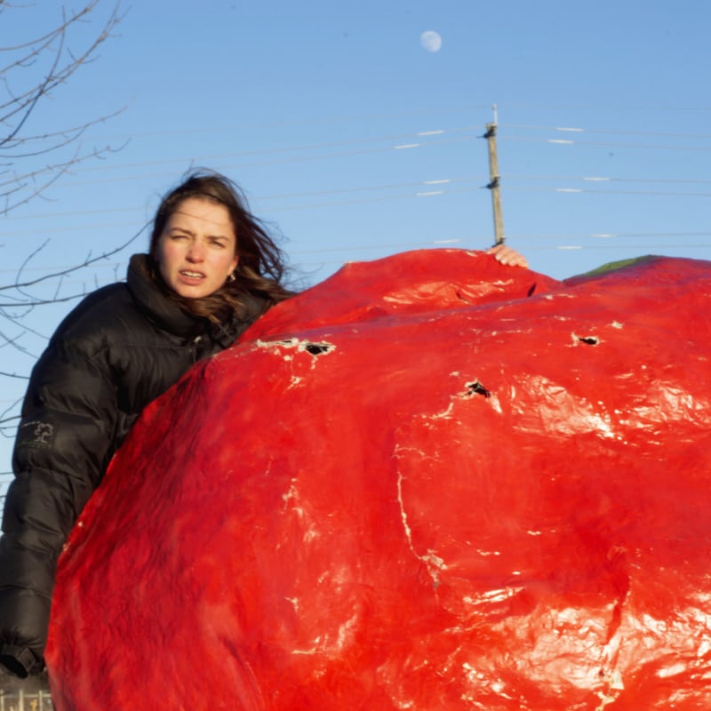 Crispy Crunchy Nothing (Orange LP)