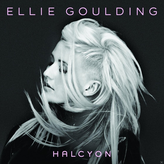 Halcyon image 0