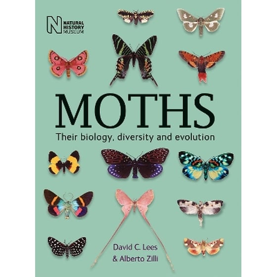 Moths image 0