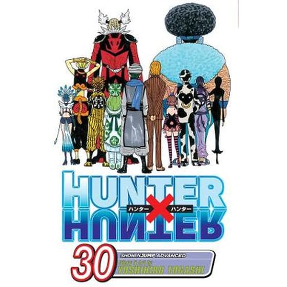 Hunter x Hunter, Vol. 30 image 0