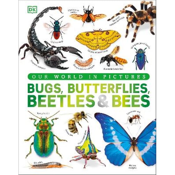 Bugs, Butterflies, Beetles and Bees image 0