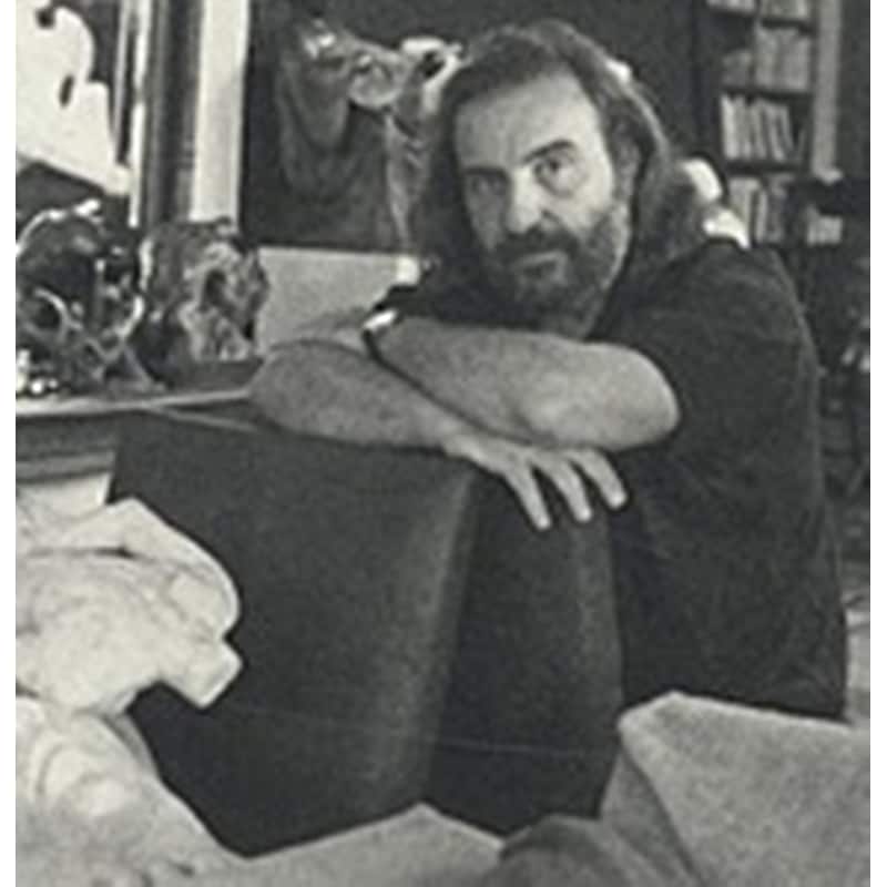 Author picture