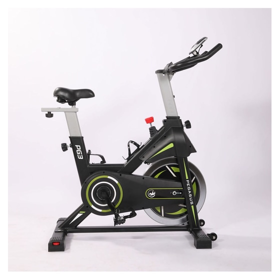 PEGASUS  PG3 Ποδήλατο Spinning Μαγνητικό με Ροδάκια image 4