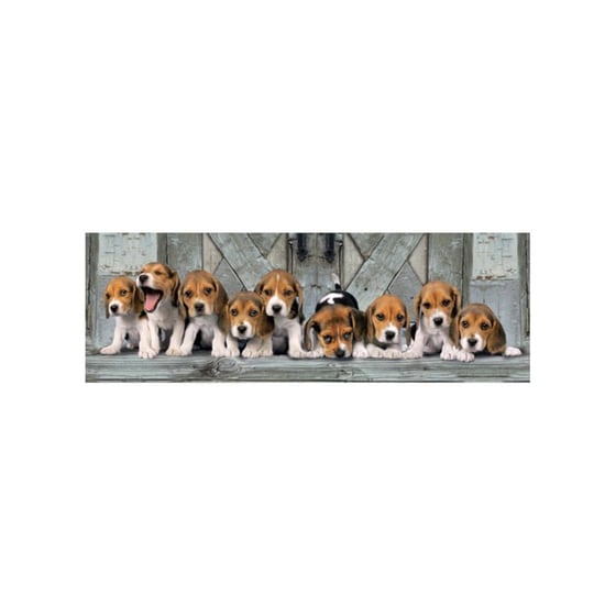 Παζλ Clementoni High Quality Panorama Σκυλάκια Beagl (1000 Κομμάτια) image 1