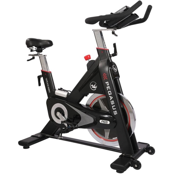 PEGASUS PG5 Ποδήλατο Spinning Μαγνητικό με Ροδάκια image 1