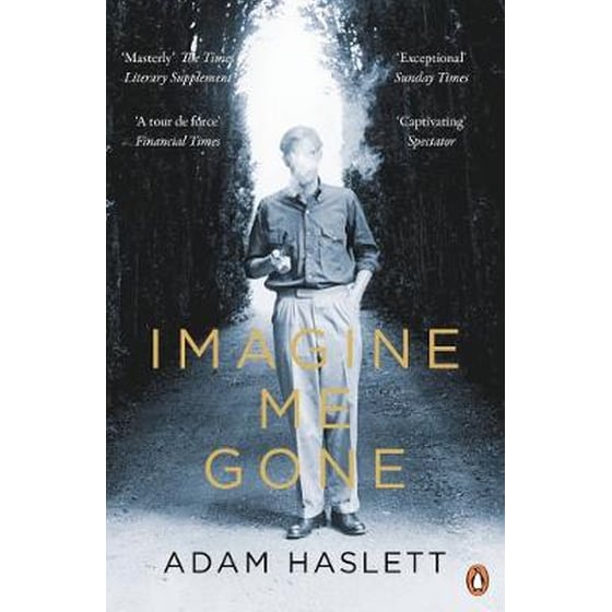 Imagine Me Gone image 0