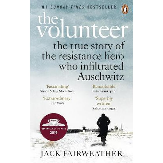 The Volunteer image 0