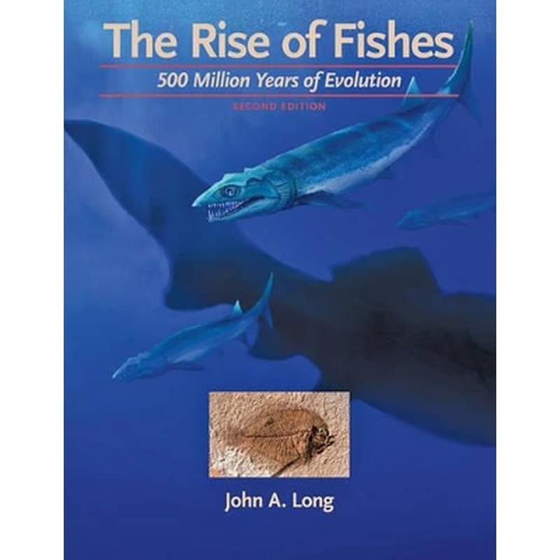 The Rise of Fishes