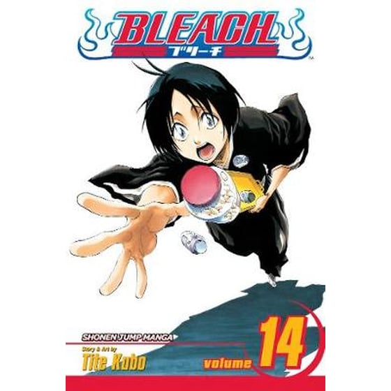 Bleach, Vol. 14 image 0