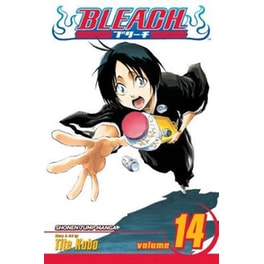 Bleach, Vol. 14