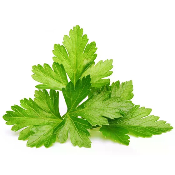 Κάψουλες Click and Grow 3 Τμχ - Κόλιανδρος image 2