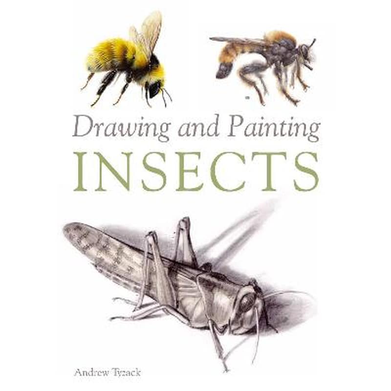 Drawing and Painting Insects