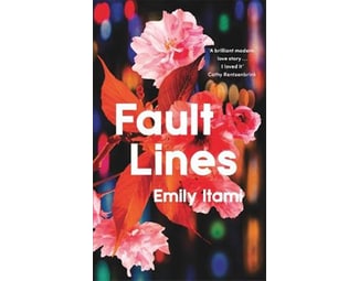 Fault Lines image 0