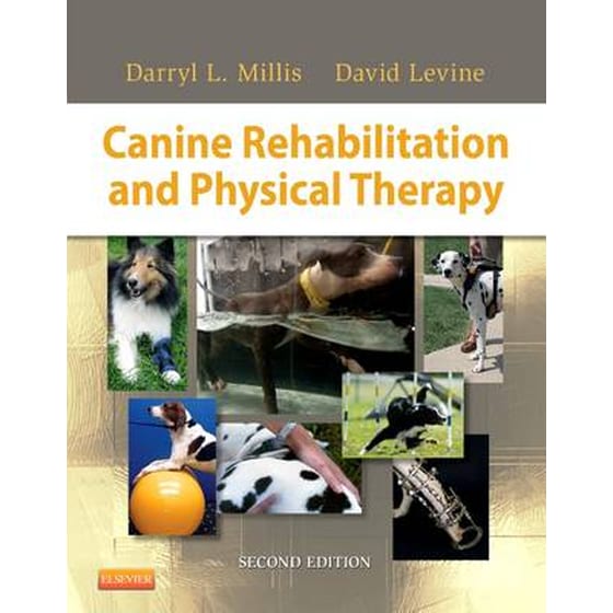 Canine Rehabilitation and Physical Therapy image 0