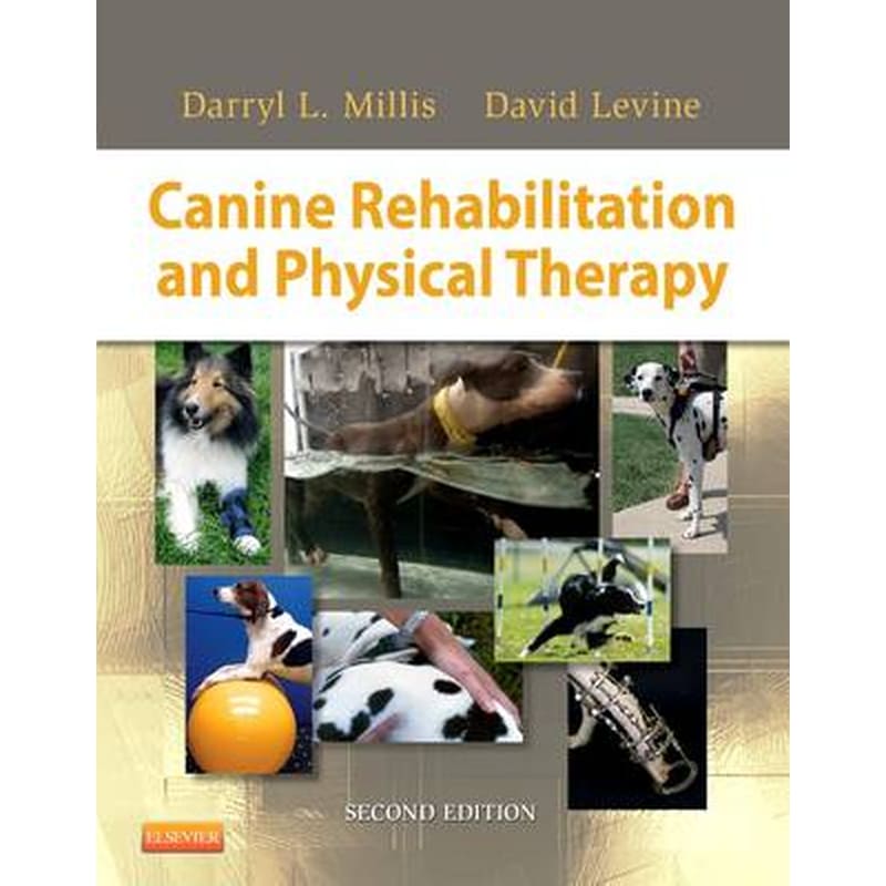 Canine Rehabilitation and Physical Therapy