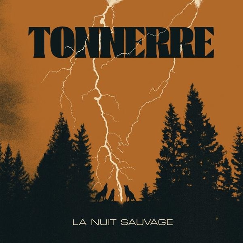 La Nuit Sauvage (Black Vinyl)