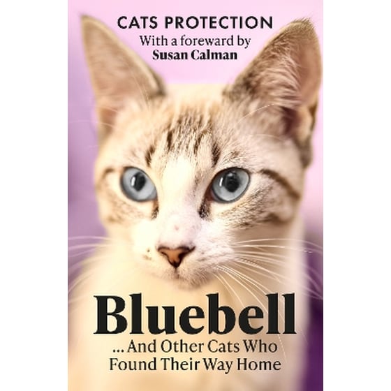 Bluebell ... And Other Cats Who Found Their Way Home image 0