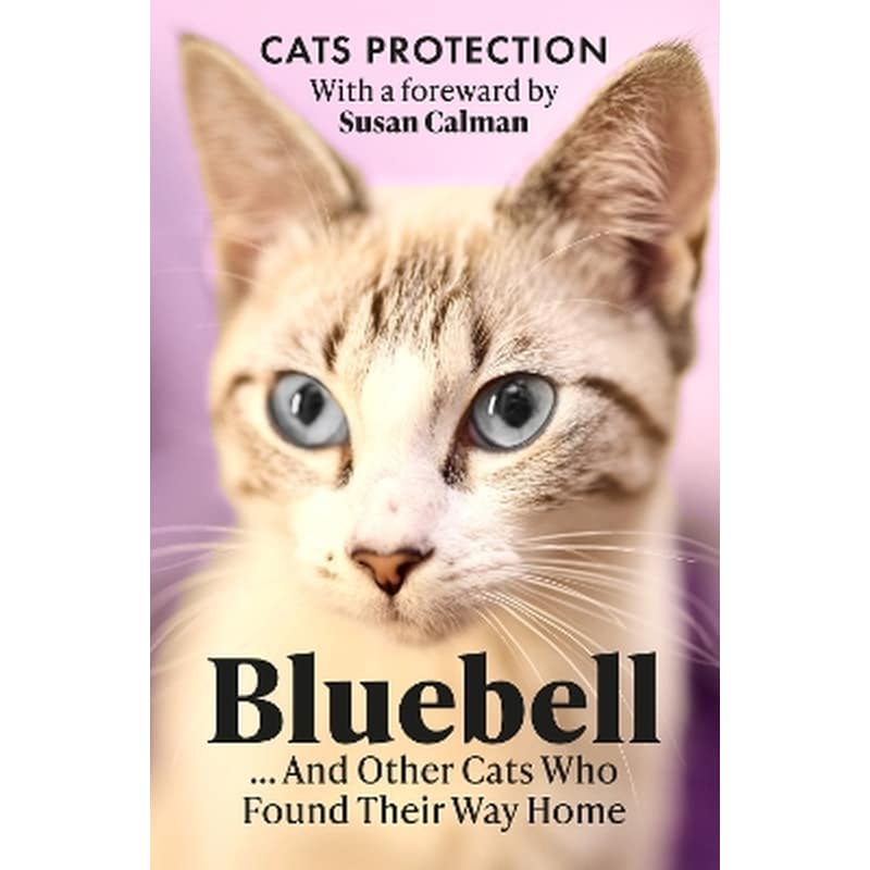 Bluebell ... And Other Cats Who Found Their Way Home