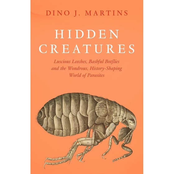 Hidden Creatures image 0