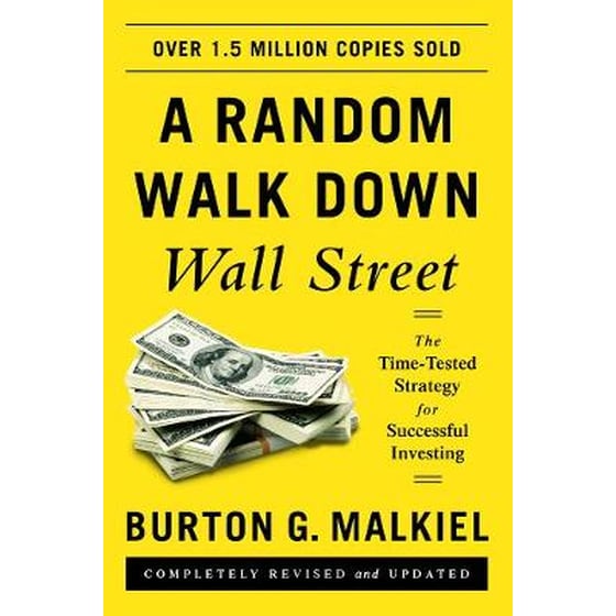 A Random Walk Down Wall Street image 0