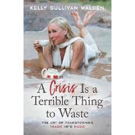 Crisis is a Terrible Thing to Waste