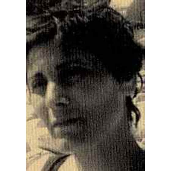 Αλεξάνδρεια Γεντί - Σκαρί image 1