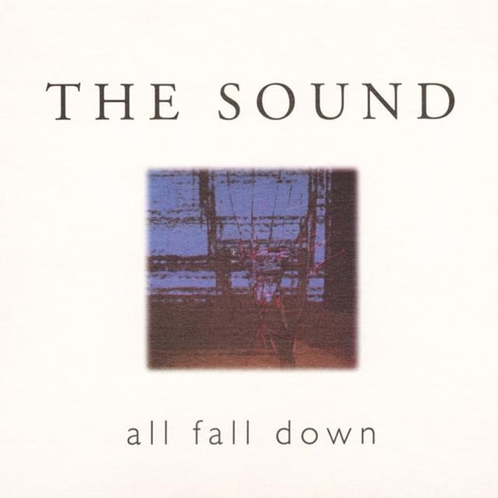 All Fall Down (Limited Blue LP) image 2