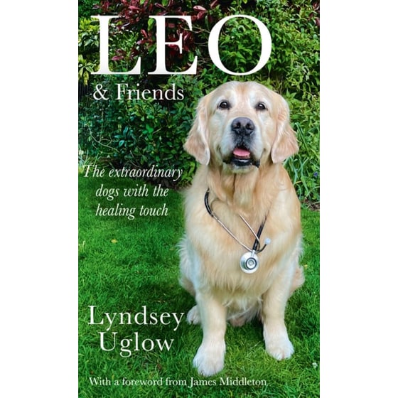 Leo & Friends image 0