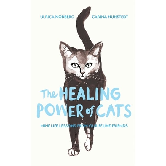 The Healing Power of Cats image 0