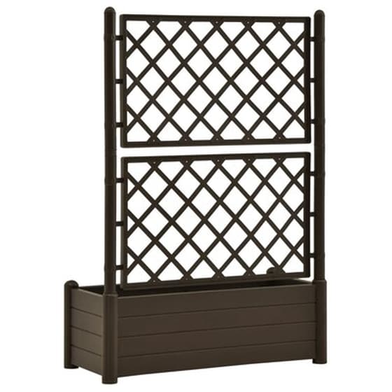 Vidaxl Ζαρντινιέρα Κήπου Με Καφασωτό Μόκα 100 X 43 X 142 Εκ. Από Pp image 5