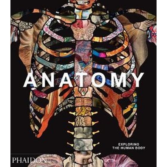 Anatomy, Exploring the Human Body image 0
